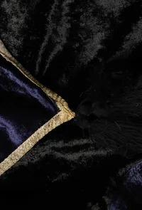 Set of 3 : Green velvet Phiran, Blue Velvet Pallazo and Blue Odhani image 4