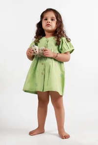 Green Dobby Dress image 1