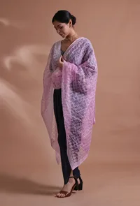 Light Pink Color Silk Organza Embroidered Dupatta image 4