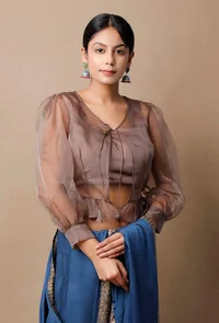 Mud Brown Organza Blouse image 2