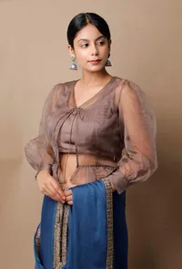 Mud Brown Organza Blouse image 3