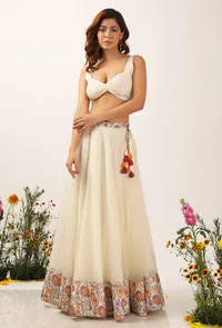 Set Of 2: Amala Organza Lehanga Skirt With Organza Blouse image 1