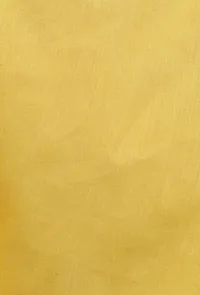 Set Of 2: Yellow Short Mul Mul Kurta With Off-white Pant image 4