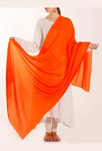 Maddie Semi Pashmina Shawl image 2