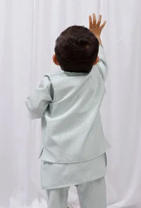 Green Striped Nehru Jacket image 4