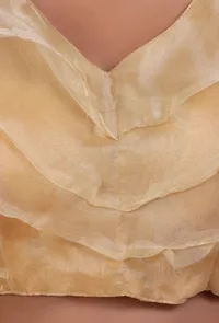 Golden Color Organza Plain Blouse image 5