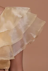 Golden Color Organza Plain Blouse image 6
