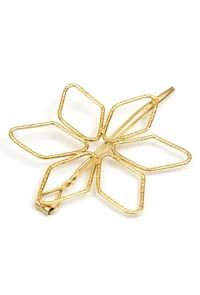 Flora Frame Gold Brass Juda pin image 4