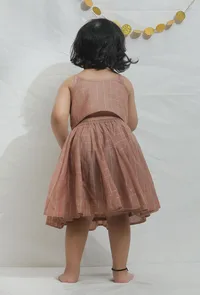 Set of 2: Light Brown Chanderi Blouse with Lehenga image 4