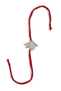 Shiv Kailash Bliss Rakhi image 2