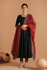 Aarna Sheer Organza Dupatta image 1