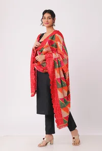 Tomatoe red allover embriodred phoolkari dupatta image 2