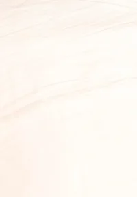 White Single Edged Cushion Cover With Tassels image 3