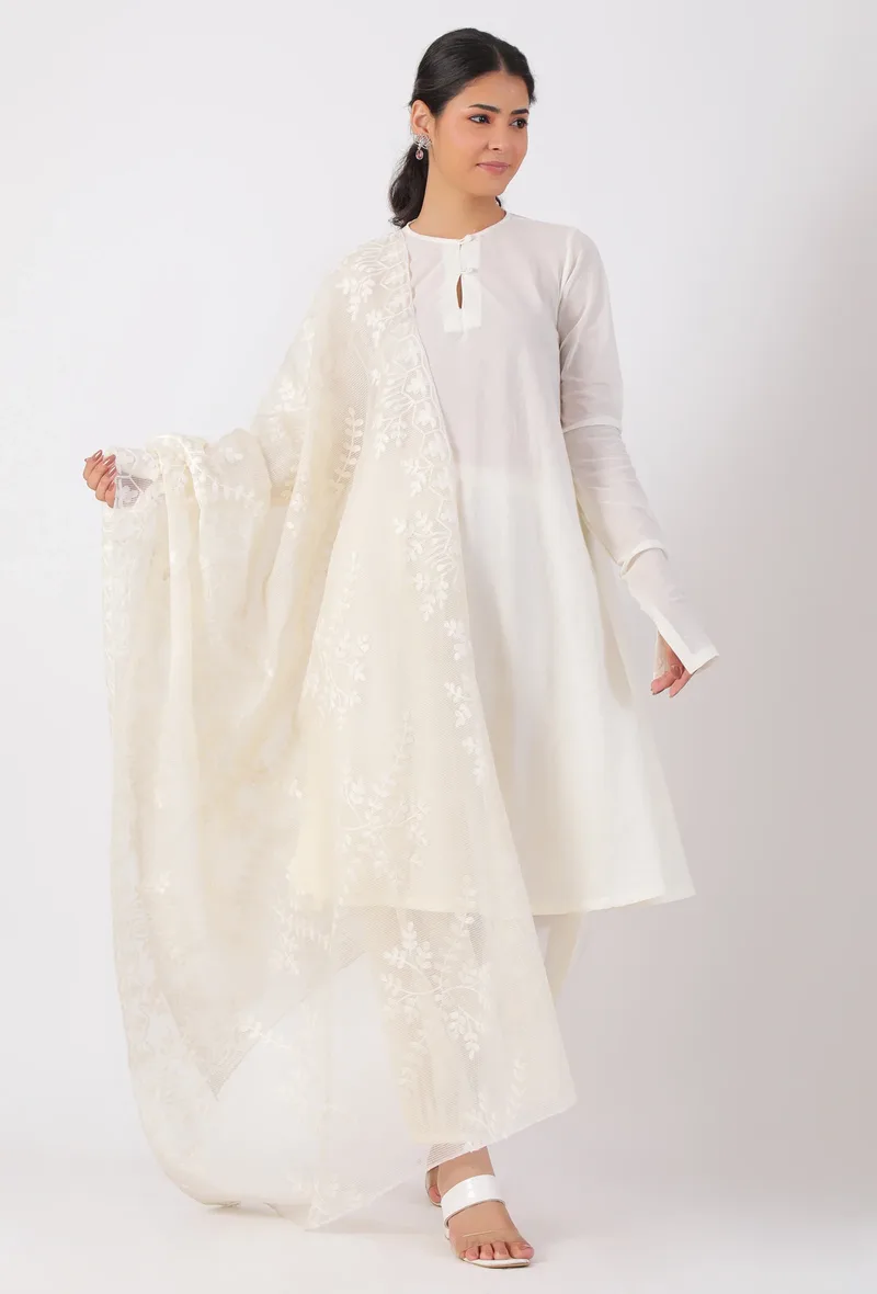 Cream Chickoo Net Dupatta