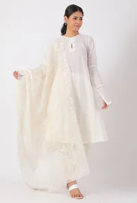 Cream Chickoo Net Dupatta image 1