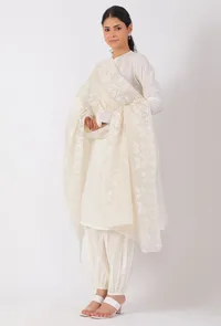 Cream Chickoo Net Dupatta image 2