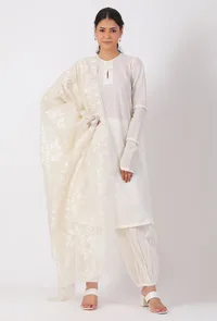 Cream Chickoo Net Dupatta image 3