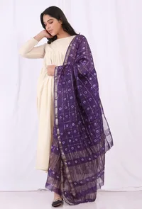 Jamani Handloom Ikkat Silk Handloom Dupatta image 2