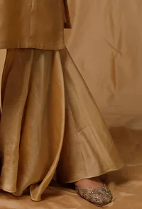 Gold Banarasi Chanderi Sharara image 5