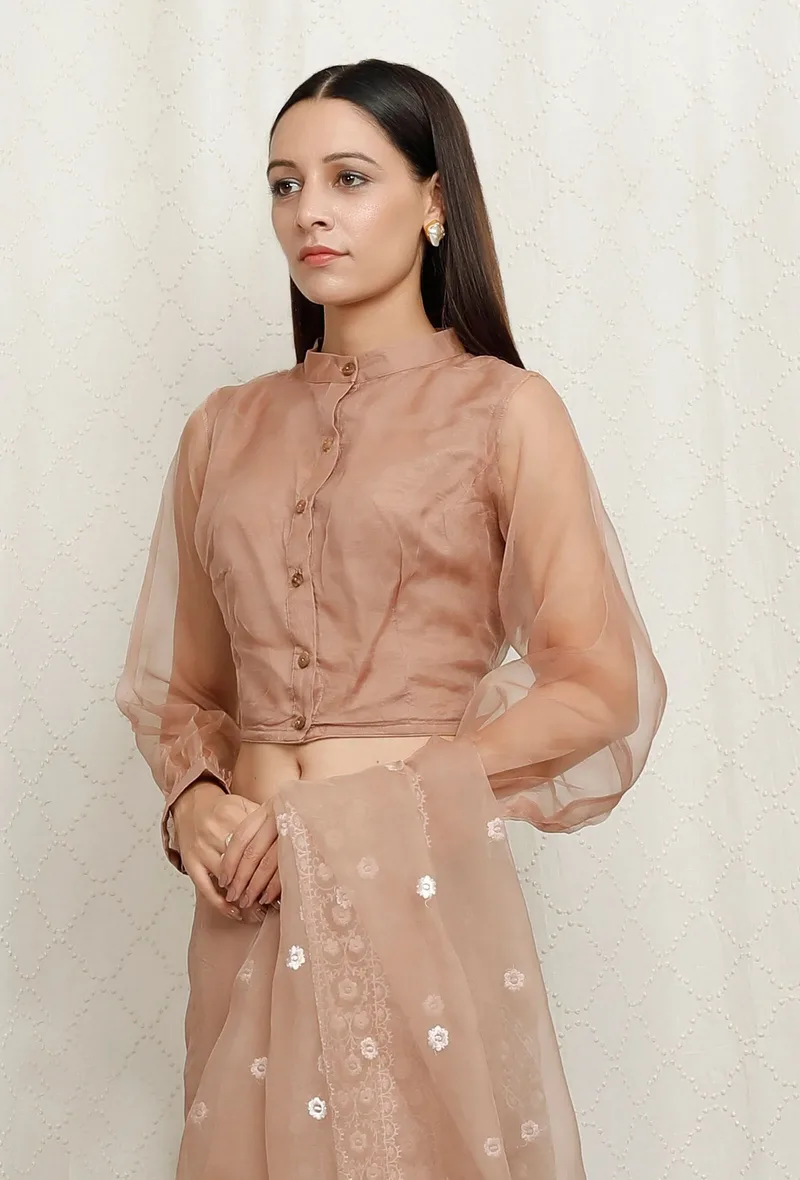 Beige Pure Banarasi Organza Sheer Sleeve Blouse