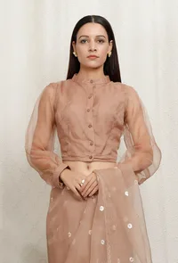 Beige Pure Banarasi Organza Sheer Sleeve Blouse image 2