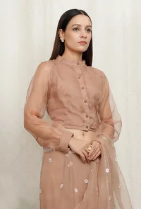 Beige Pure Banarasi Organza Sheer Sleeve Blouse image 3