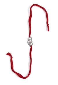 Bond of Brothers Rakhi image 1