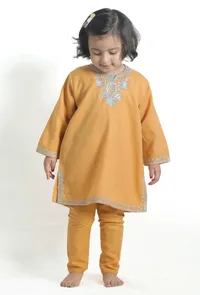 Beige Pure Woollen Phiran set image 2