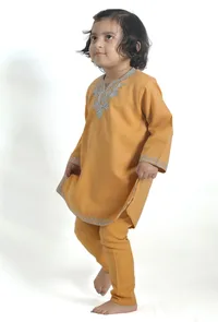 Beige Pure Woollen Phiran set image 3