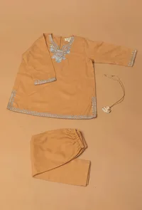 Beige Pure Woollen Phiran set image 5