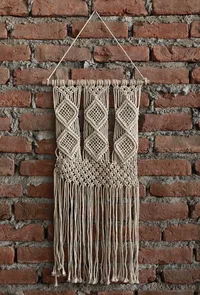 Swirl Macrame Pot Holder image 3