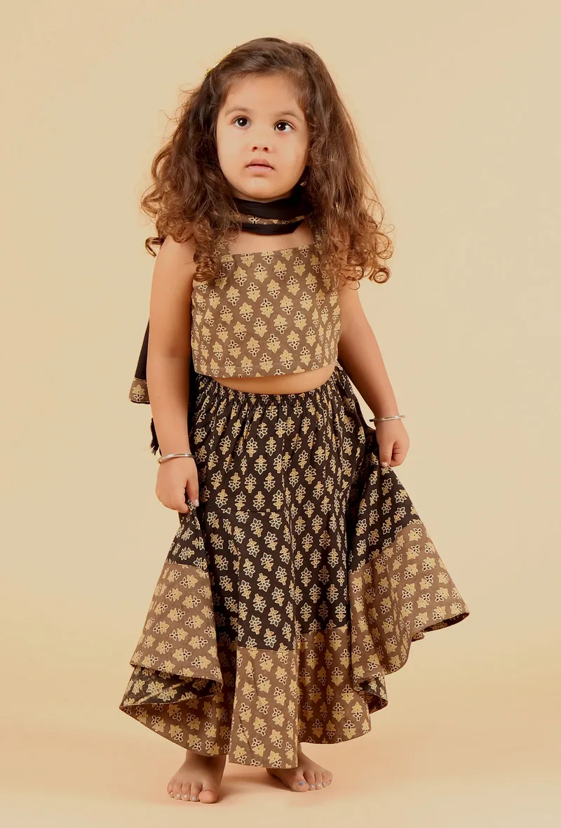 Set Of 3: Adya Khaki Ajrakh Print Cotton Top, Black Skirt & Dupatta