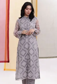 Cloud Grey Brasso Organza & Plain Organza Straight Kurta image 1