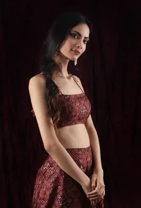 Walnut Brown Viscose Tussar Silk Patola Slip Crop Top image 3