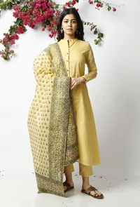 The Subtle Yellow Kota Dupatta image 2