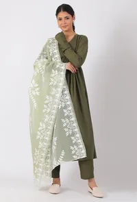 Tea Green Chickoo Net Dupatta image 3