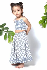 Set of 3 - Berry Blue Floral Handblock Cotton Lehenga Set image 3