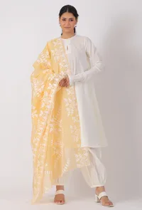 Royal Yellow Chickoo Net  Dupatta image 2