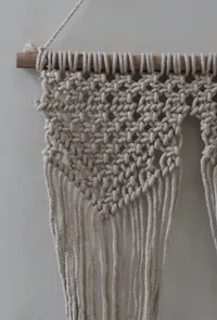 Florentina Double Macrame Wall Hanging image 2