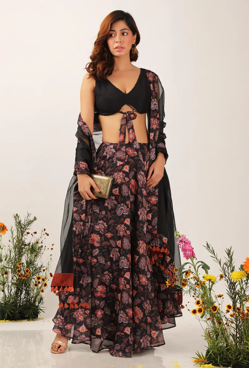 Zoon Organza Tasseled Dupatta