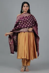 Mahogany Chanderi Brocade Dupatta image 2