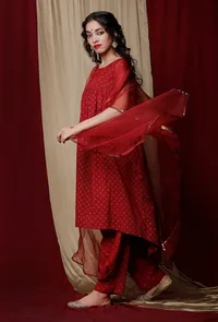 Set of 3:Maroon Cotton Kurta and Pants with Organza Cape image 2