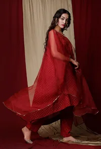 Set of 3:Maroon Cotton Kurta and Pants with Organza Cape image 3