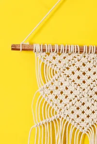 Knotted Macrame Wall Hanging image 3