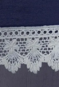Joanna Crochet Lace Dupatta image 2