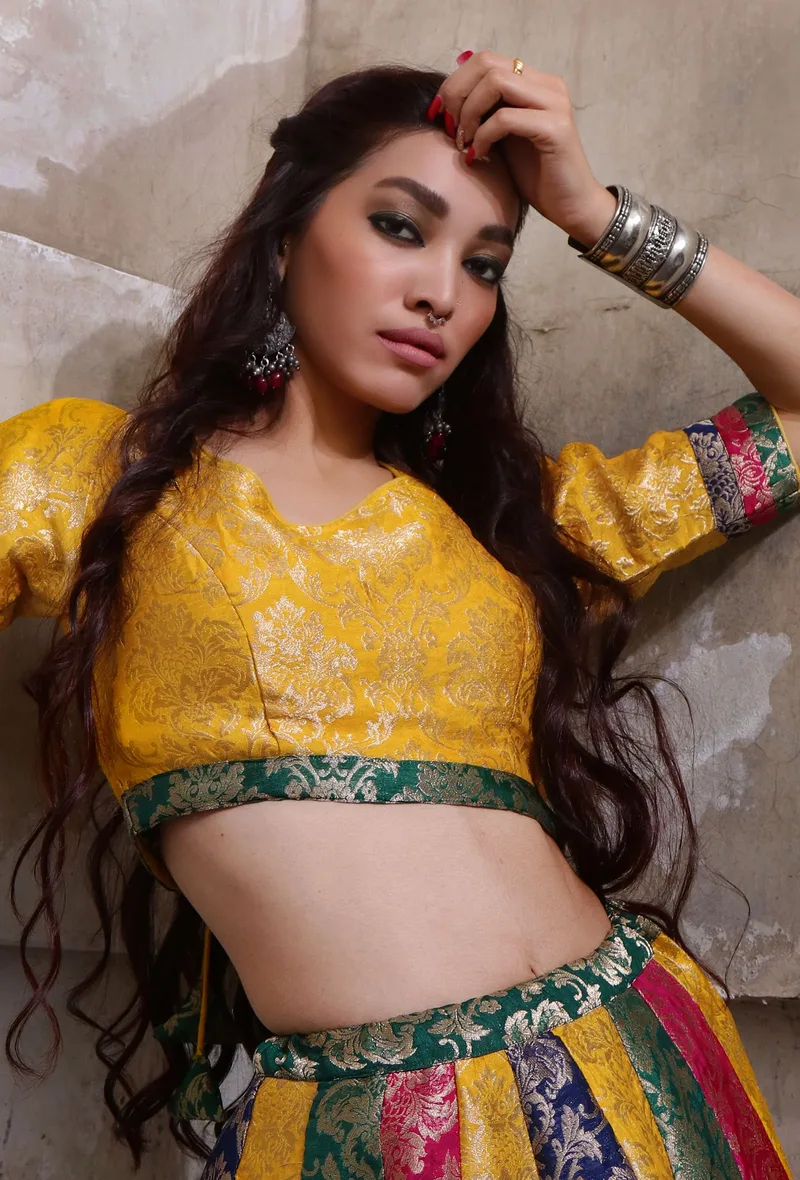 Multicolor Banarasi Jacquard Crop Top With Tassels
