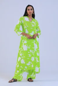 Conifer Viscose Cotton Kurta image 1
