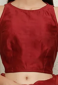 Crimson Pure Banarasi Chanderi Blouse image 5