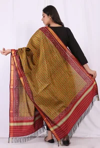 Beige Gold Ikkat Silk Patola Dupatta image 3