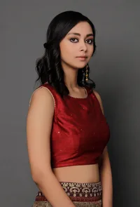 Maroon Banarasi Chanderi Plain Blouse image 3